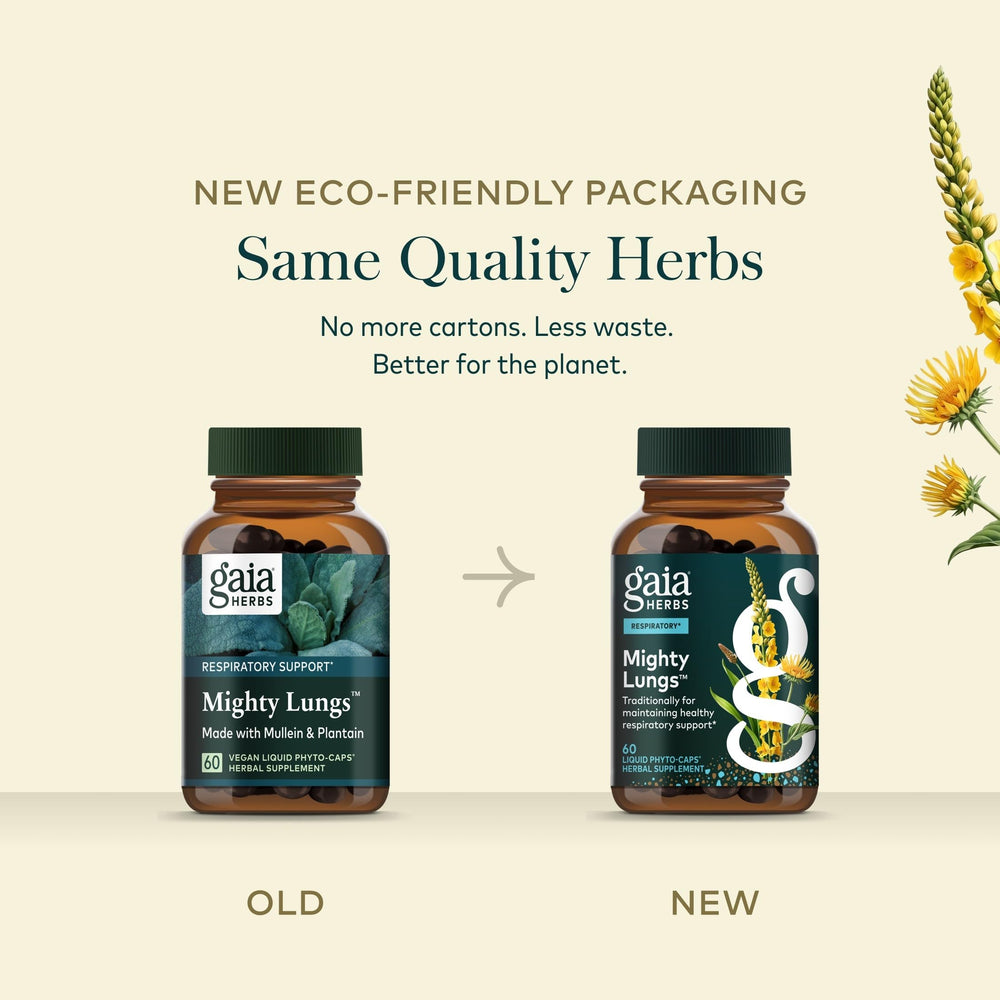Ingredientes secos alineados que componen Gaia Herbs Mighty Lungs y su origen