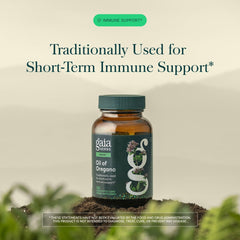Gaia Herbs aceite de orégano goteando mostrando concentración y potencia