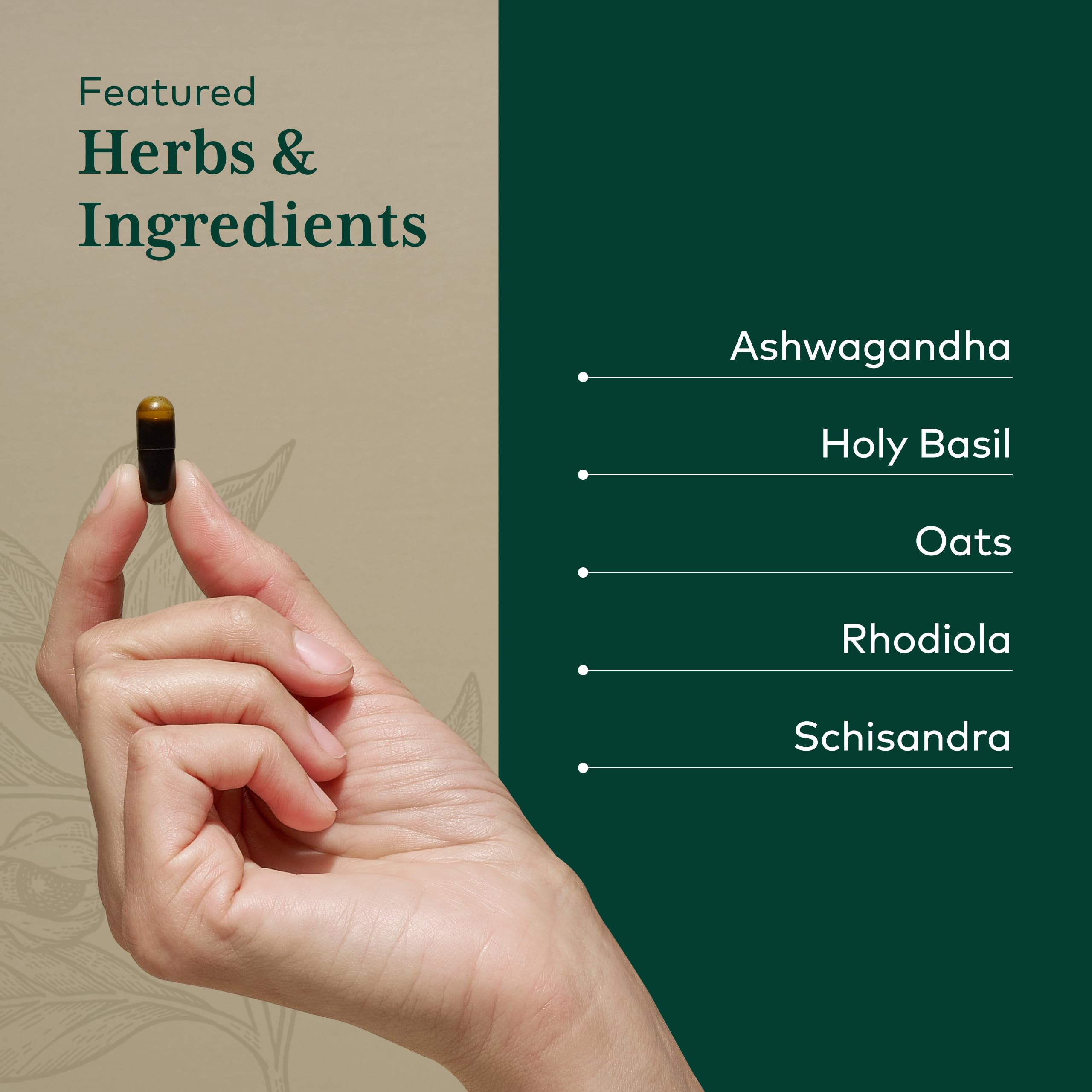 Gaia Herbs Pro mano tomando cápsula para uso diario y conveniencia
