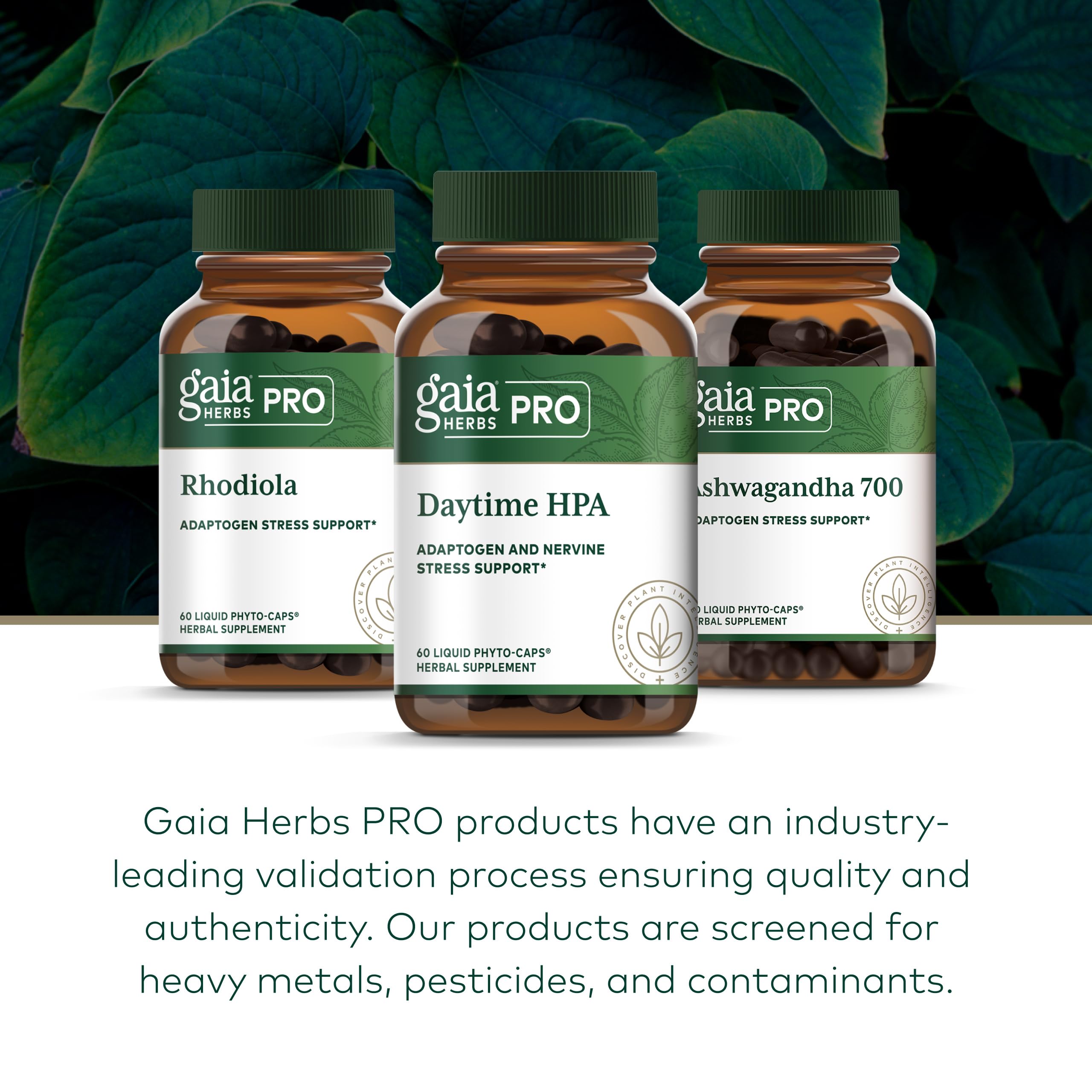 Gaia Herbs PRO plantas cultivadas en la finca resaltando sostenibilidad
