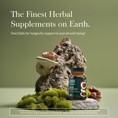 Gaia Herbs cápsulas veganas en primer plano, fácil de tomar