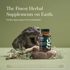 Gaia Herbs enfoque en la tabla nutricional y cantidad por porción