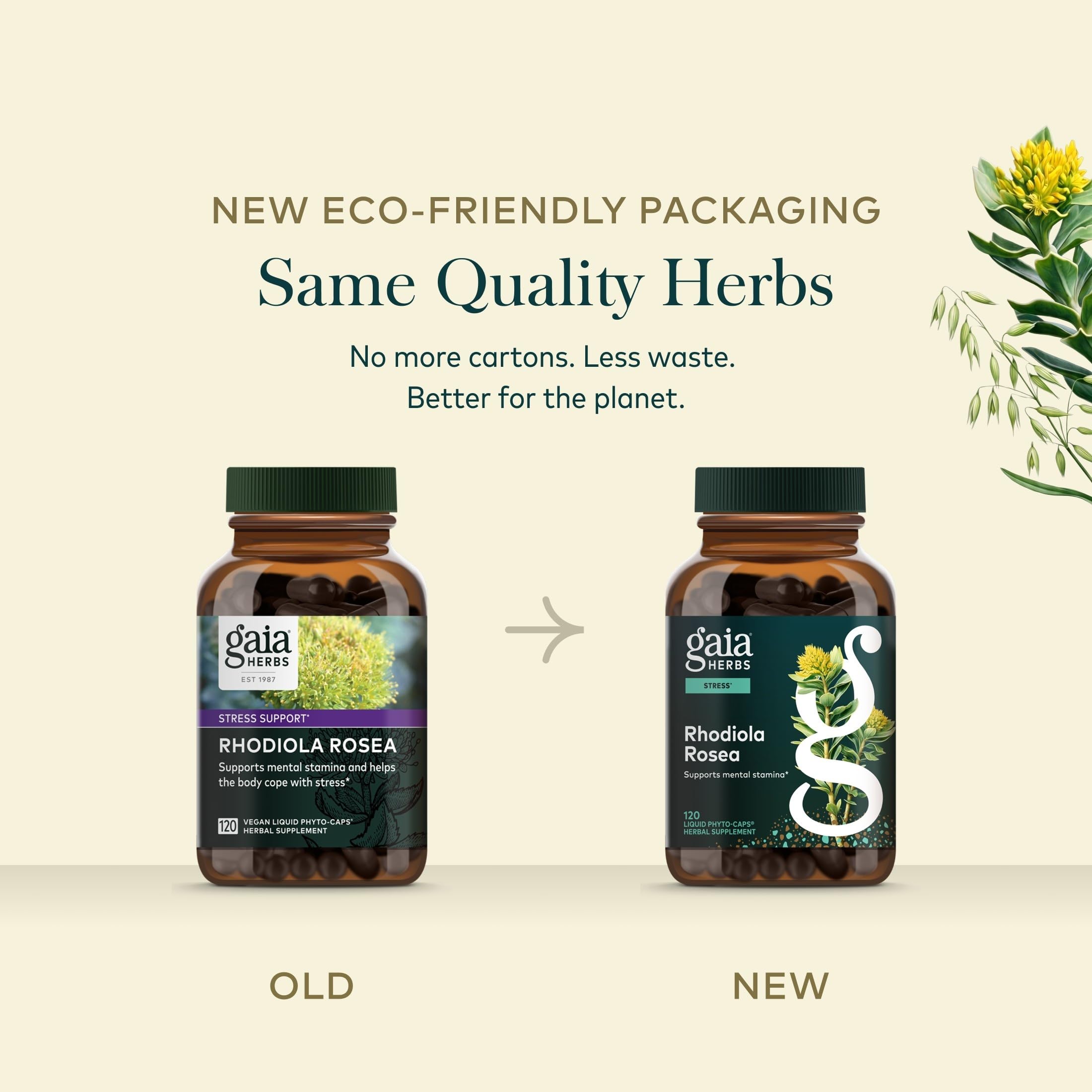 Gaia Herbs suplemento en escenario activo para apoyar resistencia
