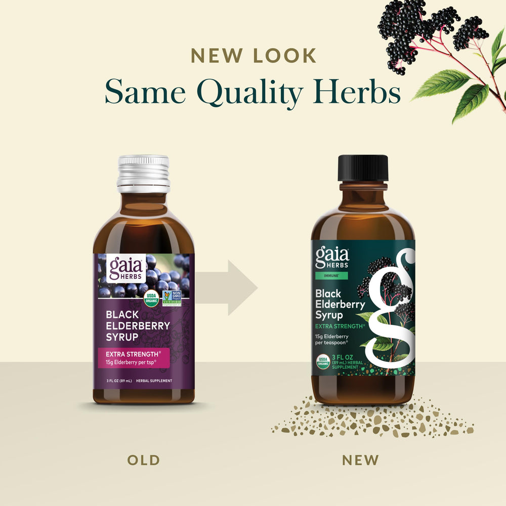 Gaia Herbs bayas de sambucus nigra en primer plano que resaltan origen orgánico