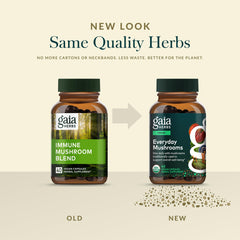 Gaia Herbs cápsula junto a moneda para comparar escala y porción diaria
