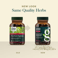 Gaia Herbs cápsula junto a moneda para comparar tamaño y porción