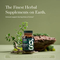 Gaia Herbs cápsula fito líquida cortada mostrando su textura y absorción