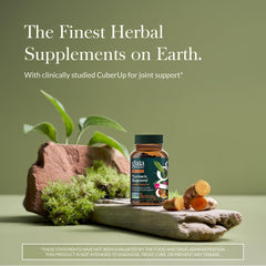 Gaia Herbs cápsulas Phyto-Caps en primer plano para fácil ingestión
