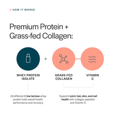 Gainful smoothie en cocina que incorpora colágeno para recetas nutritivas