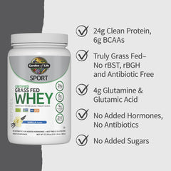 Cucharada medidora con 24 g de proteína Garden of Life lista para preparar