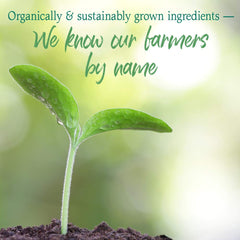 Garden of Life etiqueta con sellos orgánico, vegano y sin gluten