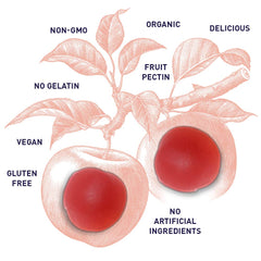 Ingredientes orgánicos cerca de gomitas Garden of Life resaltando sabores naturales