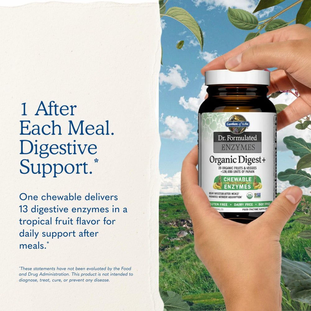 Fibra prebiótica de acacia Garden of Life destacada para salud intestinal