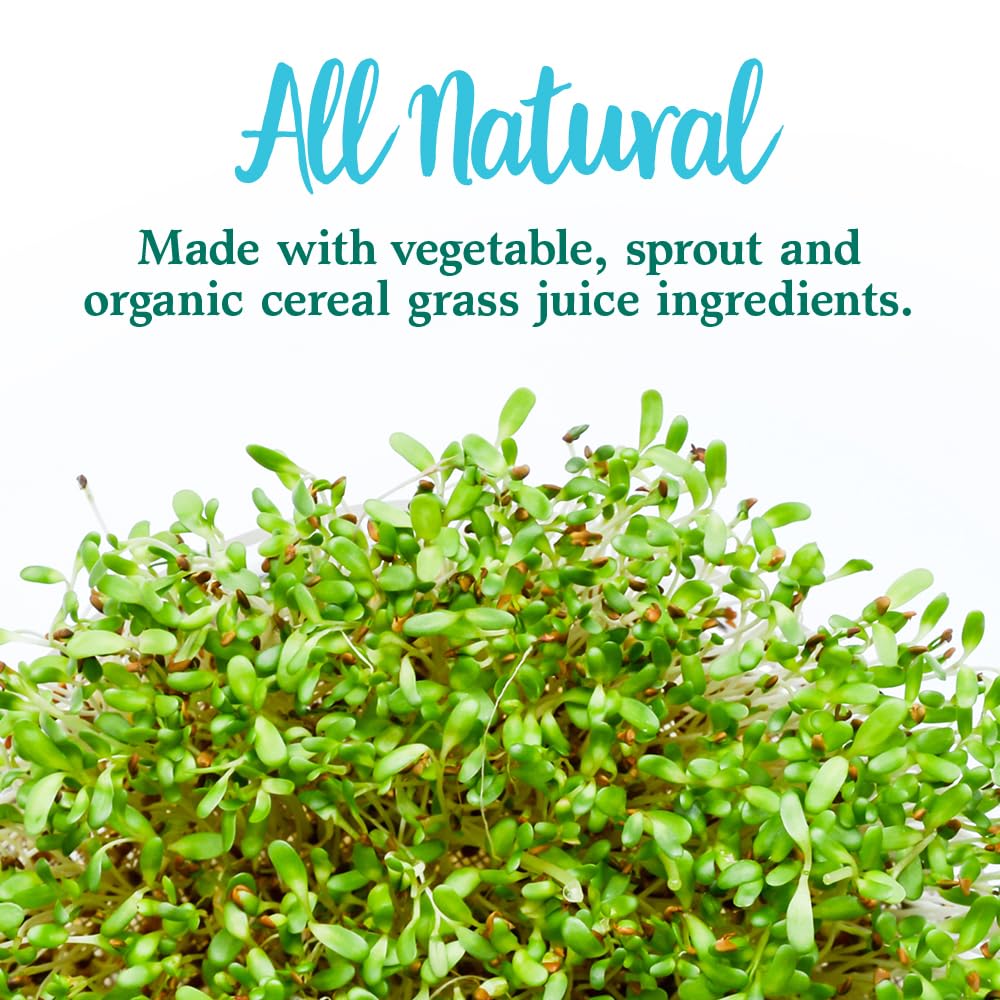 Garden of Life ingredientes superfoods organizados evidenciando variedad