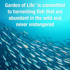 Garden of Life Oceans 3 comparación de tamaño de softgel para referencia