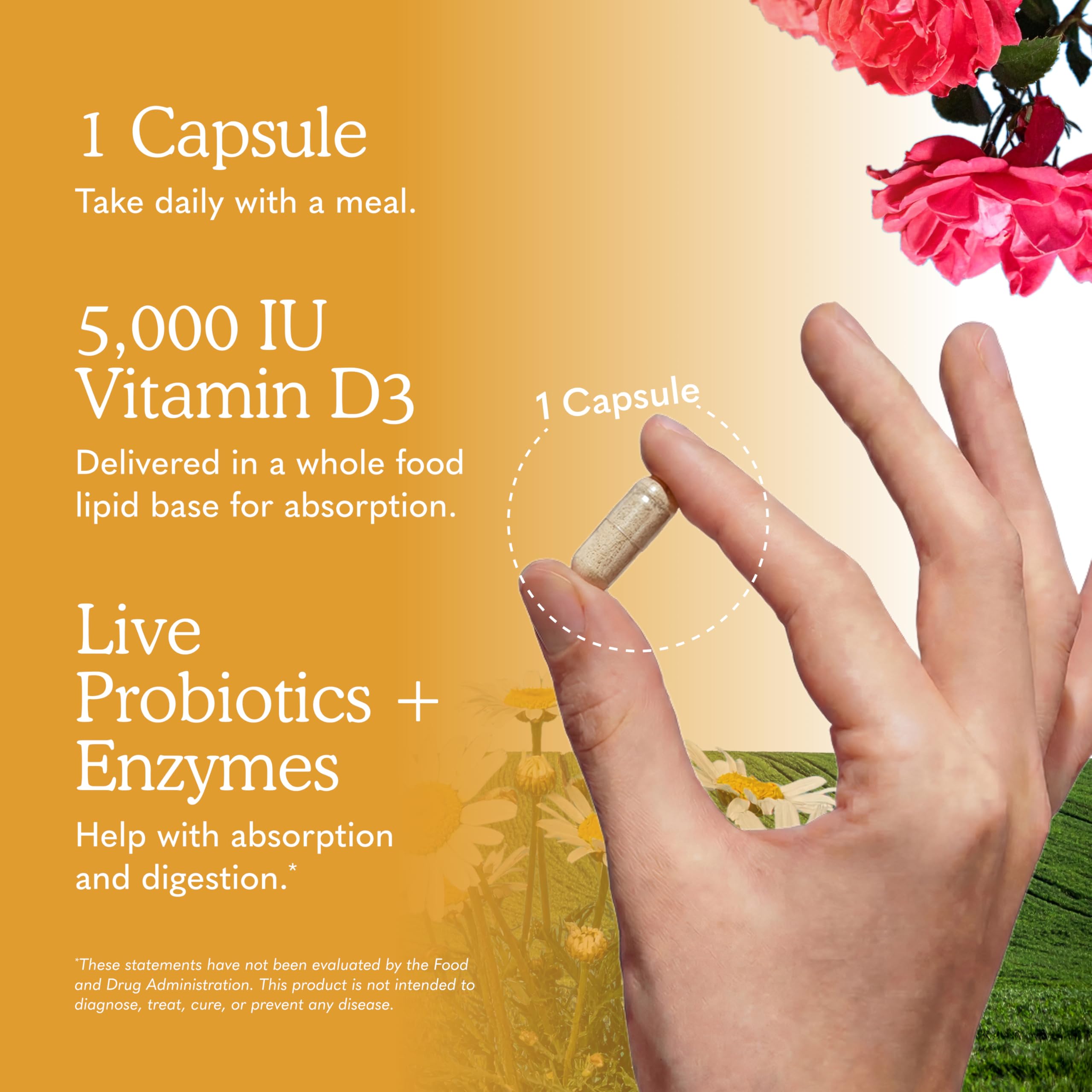 Garden of Life cápsula en mano mostrando tamaño cómodo y dosificación práctica