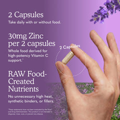 Garden of Life etiqueta mostrando probióticos y enzimas para salud digestiva