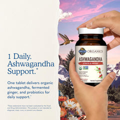 Garden of Life producto en rutina matinal para apoyar energía y manejo del estrés
