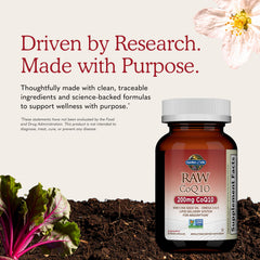 Garden of Life cápsulas en entorno de rutina matutina integración práctica
