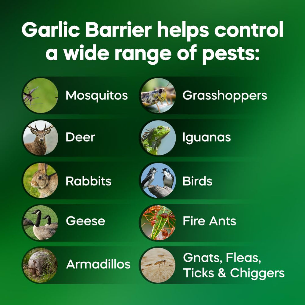 Garlic Barrier aplicación con pulverizador para protección de plantas