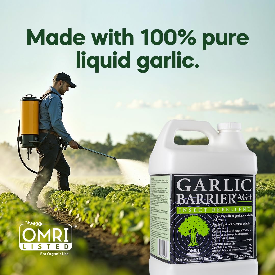 Garlic Barrier planta tratada con hojas sanas tras aplicación preventiva