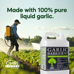 Garlic Barrier planta tratada con hojas sanas tras aplicación preventiva
