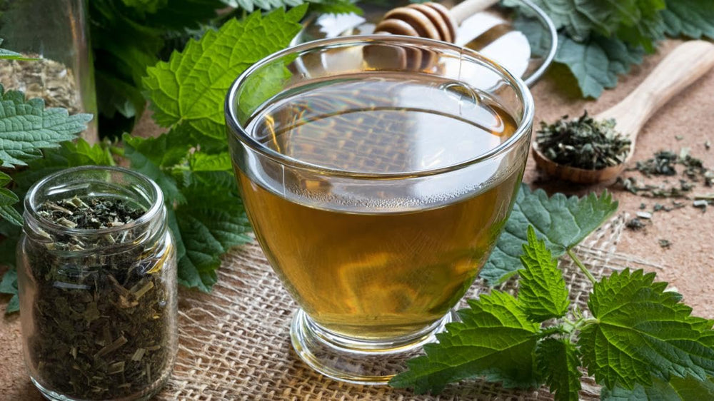Generic infusión de ortiga en tetera, infusión aromática y relajante