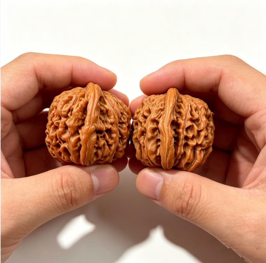 Generic cepillo incluido limpiando y puliendo las Wenwan Walnut