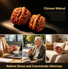 Generic Wenwan Walnut sobre escritorio indicando pausa productiva