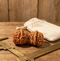 Generic nueces Wenwan en mano mostrando su uso y comodidad