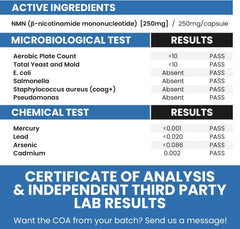 Genex Formulas cápsulas en primer plano para ver textura y tamaño