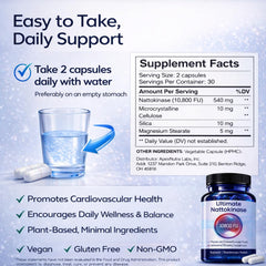 GizmoBox polvo de nattokinasa cerca del frasco ilustra pureza del ingrediente
