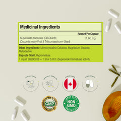 GliSODin ingredientes destacados mostrando formulación segura y efectiva