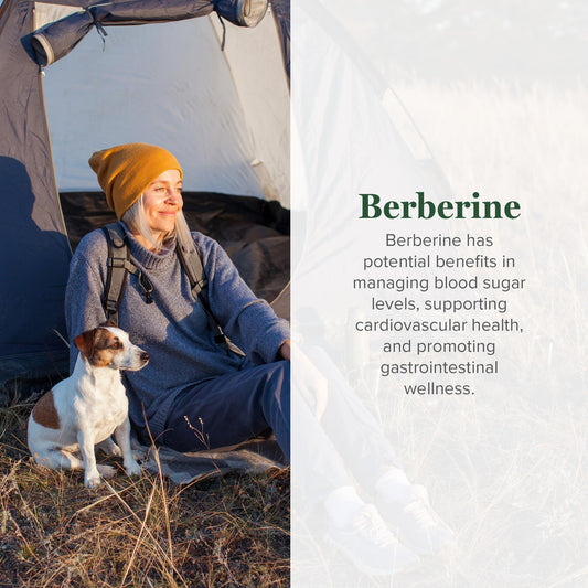 Global Healing Center Berberina-bote-capsulas: fácil uso diario.