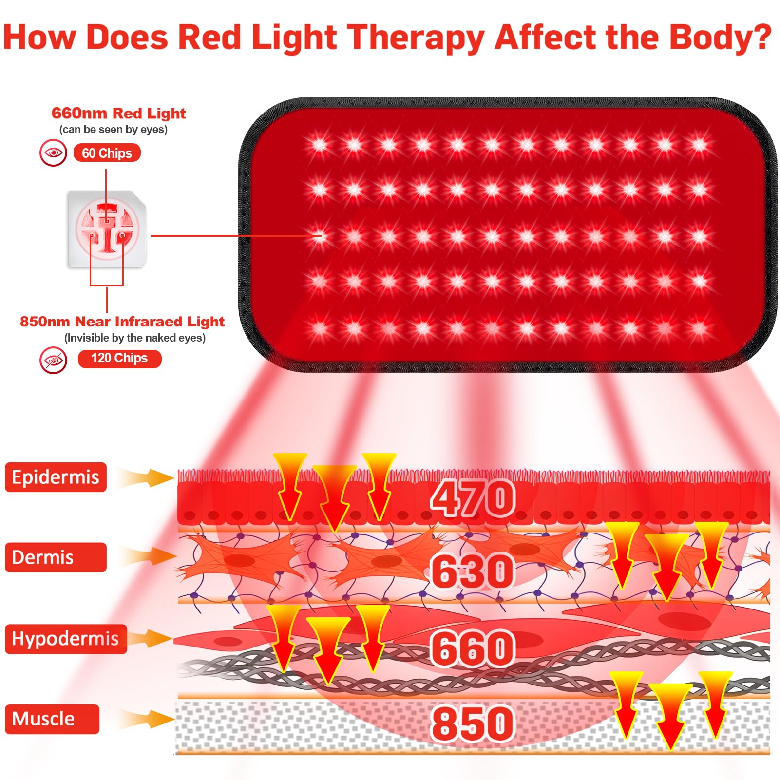 GMOWNW primer plano de LEDs 660nm y 850nm mostrando calidad