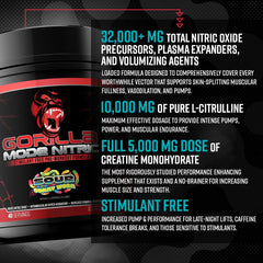Gorilla Mind Nitric comparación de tamaño con cucharada para entender dosis y concentración