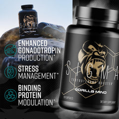 Gorilla Mind Sigma usado en gimnasio para apoyar energía y recuperación