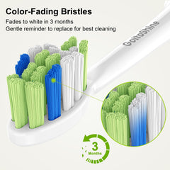GottaShine cabezal con tapa protectora, higiene asegurada