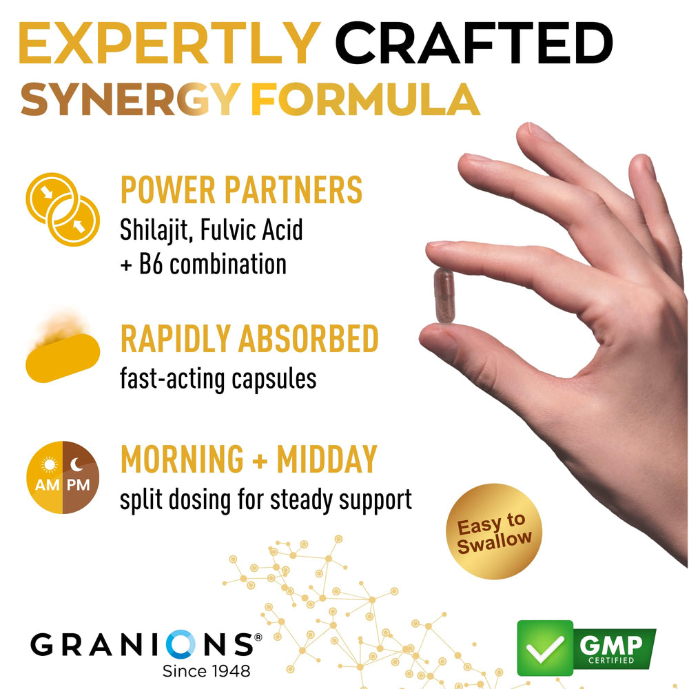 Granions Shilajit puro 1000mg en bote cápsulas para uso diario