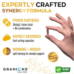 Granions Shilajit puro 1000mg en bote cápsulas para uso diario