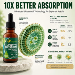 Guigmiens textura del líquido liposomal mostrando consistencia suave