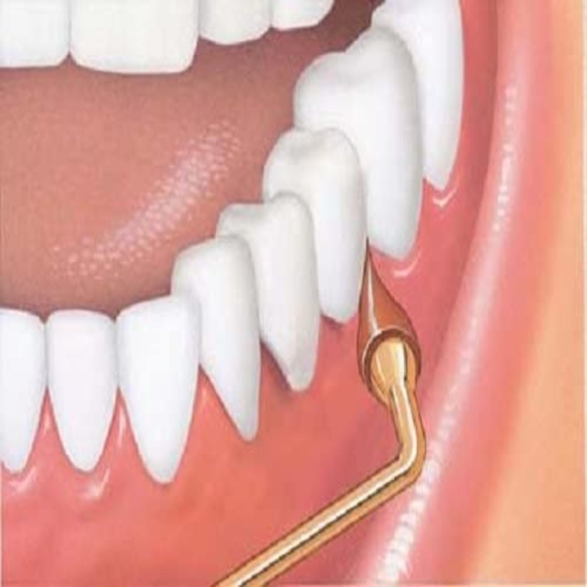 GUM tamaño comparación con dedo indicando escala cómoda y manejo seguro