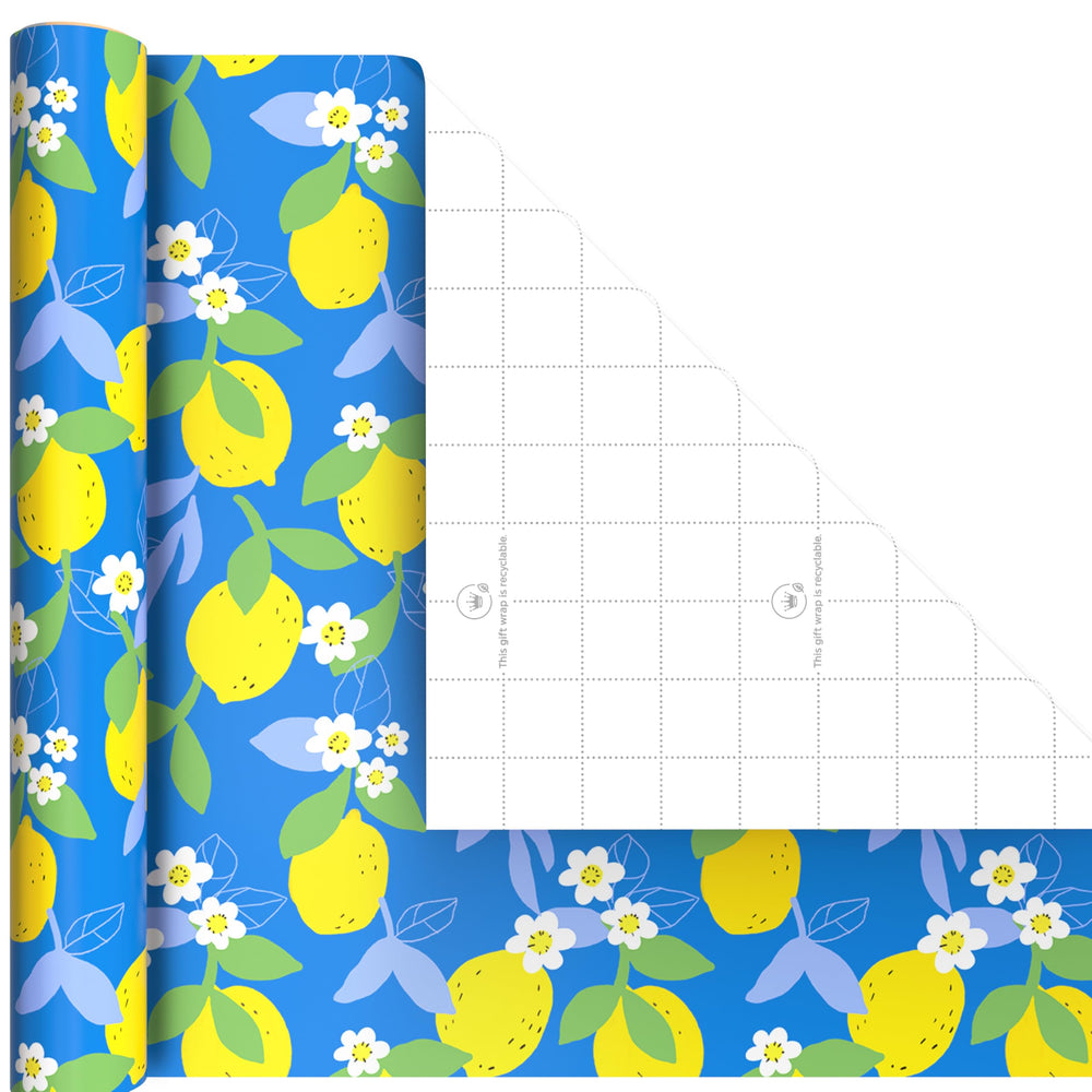 Hallmark mini rollos en manos para apreciar tamaño y facilidad de uso