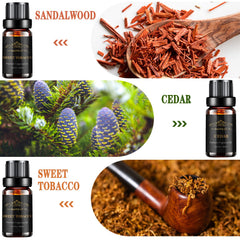Hanolly conjunto de botellas oscuras 10 ml mostrando elegancia y protección