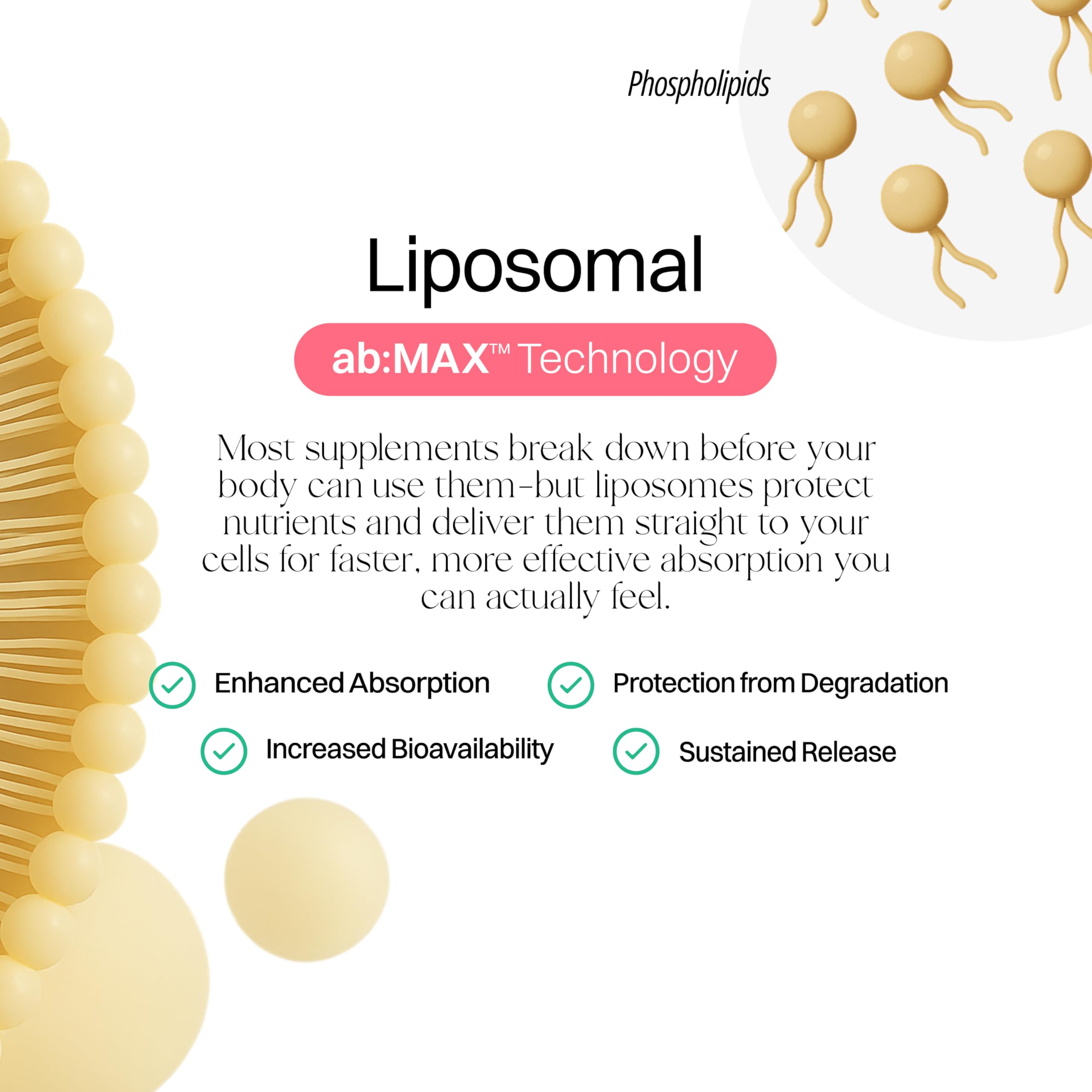 Haroutine certificado de análisis Cryo-TEM mostrando verificación liposomal