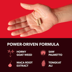 Ingredientes en polvo en primer plano representando la pureza de HAVASU NUTRITION