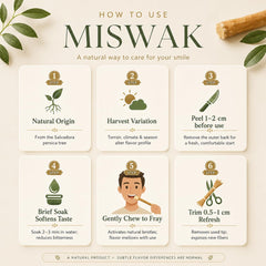 hazza persona usando el palo miswak para una boca más fresca