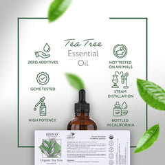 HBNO aceite en difusor para ambientar con aroma fresco