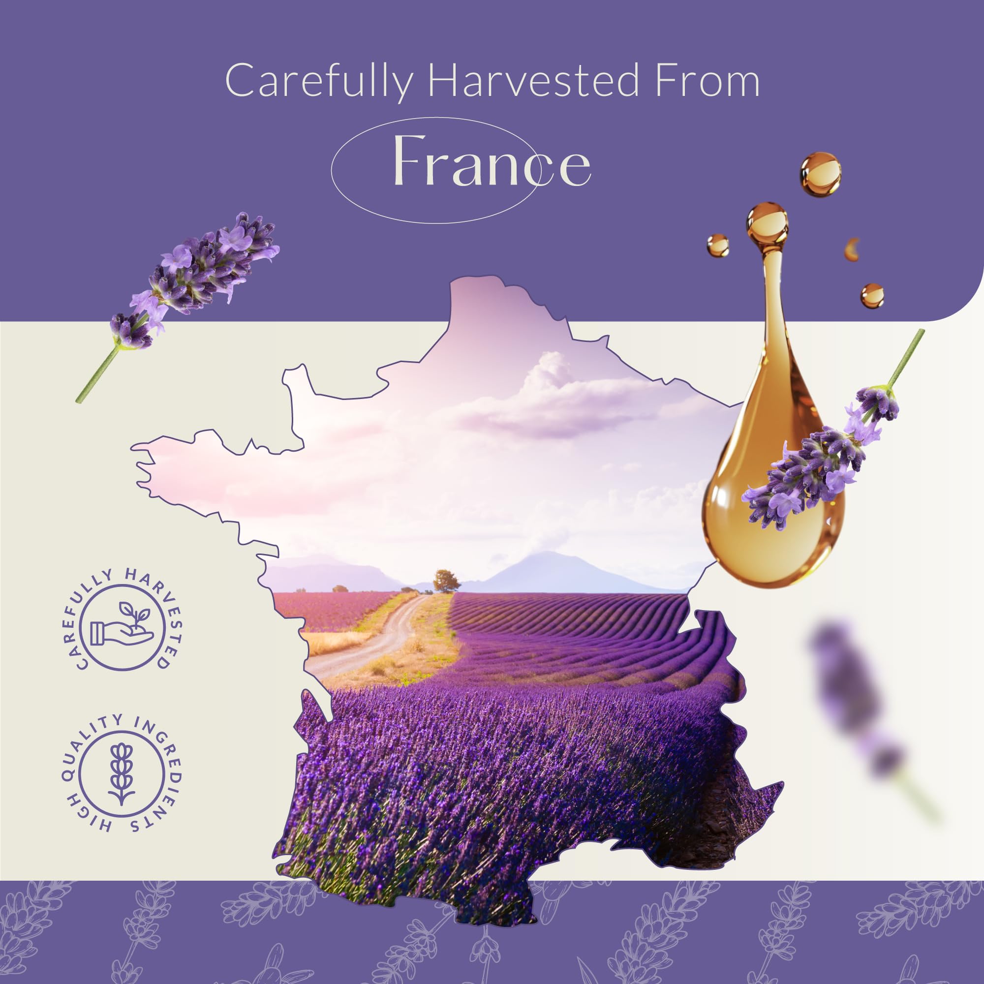 HBNO aceite en difusor creando ambiente relajante y fresco