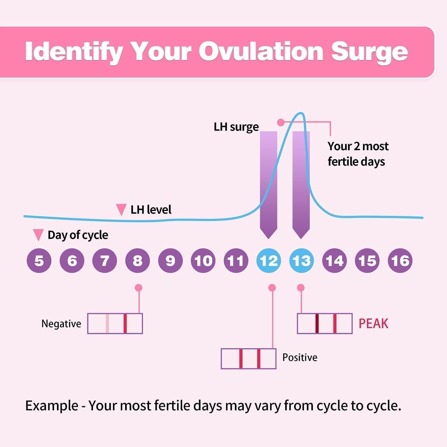 HEAL-CHECK tira con línea de prueba oscura, identifica ventana fértil